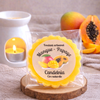 Tartelette Mangue papaye