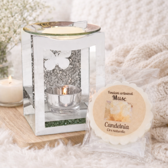 Brûleur Miroir Papillon