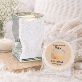 Brûleur Miroir Chouette